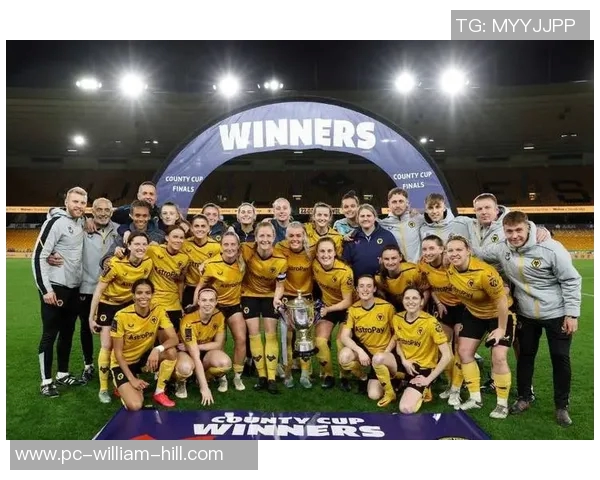 狼队再显实力击败西汉姆联领先降级区12分升班马三队降级倒计时已开启